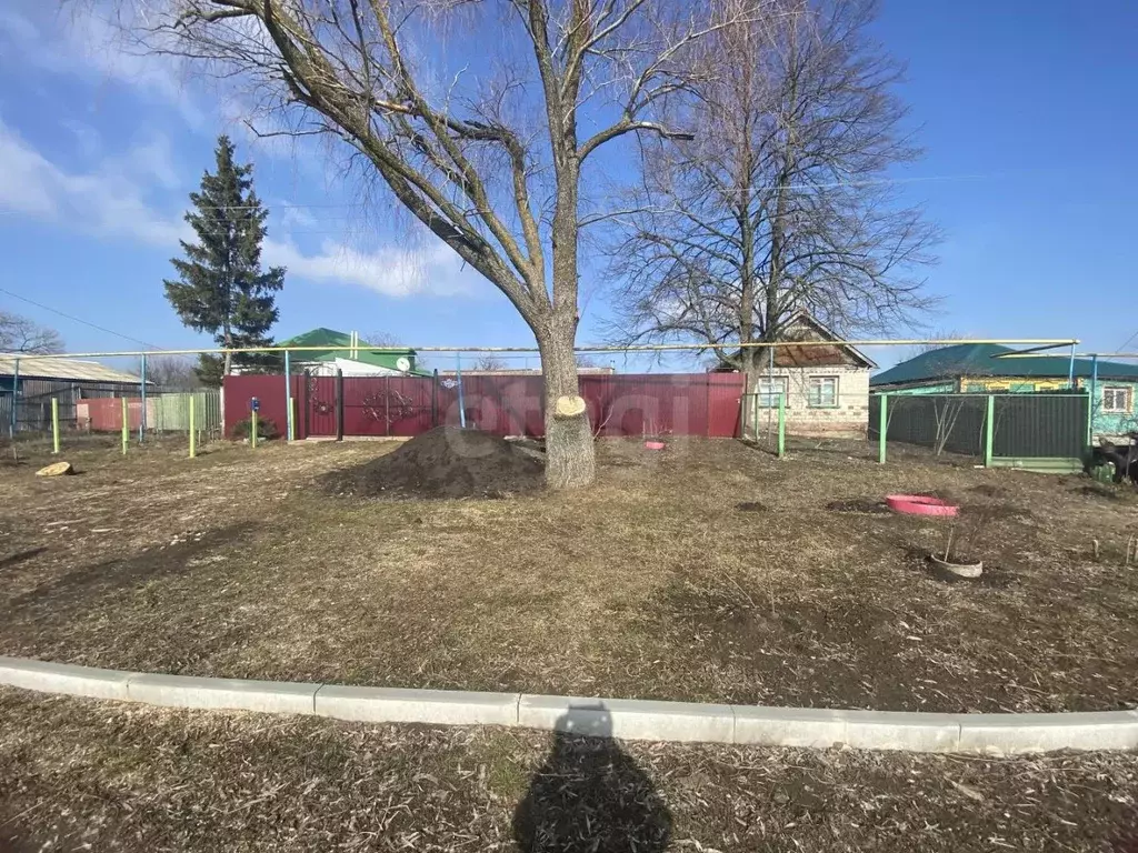 Дом в Белгородская область, Корочанский район, Проходенское с/пос, с. ... - Фото 1