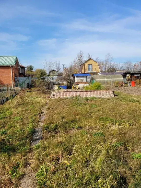 Участок в Хабаровский край, Хабаровск Пчелка СНТ, ул. Центральная, 64 ... - Фото 2