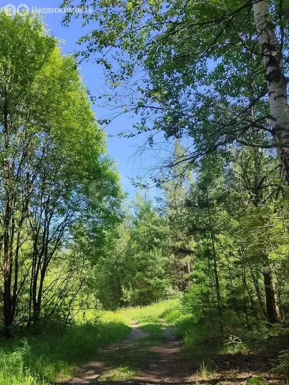 Квартира-студия: Казань, улица Ярышлар, 4 (25 м) - Фото 2