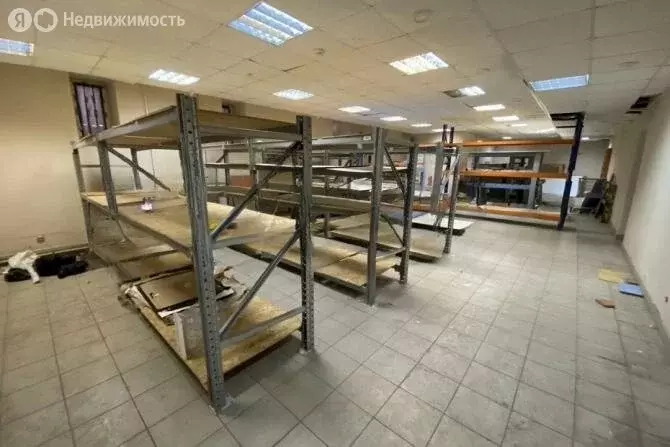 Помещение свободного назначения (245 м) - Фото 0
