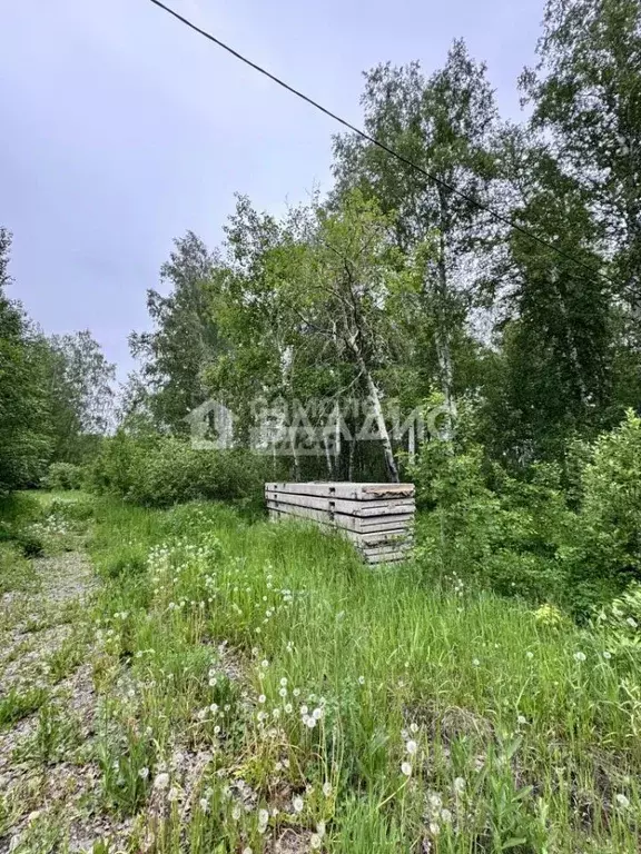 Участок в Челябинская область, Сосновский муниципальный округ, Городок ... - Фото 2