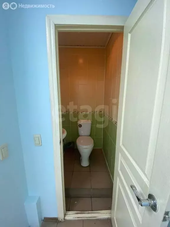 Помещение свободного назначения (29.1 м) - Фото 1