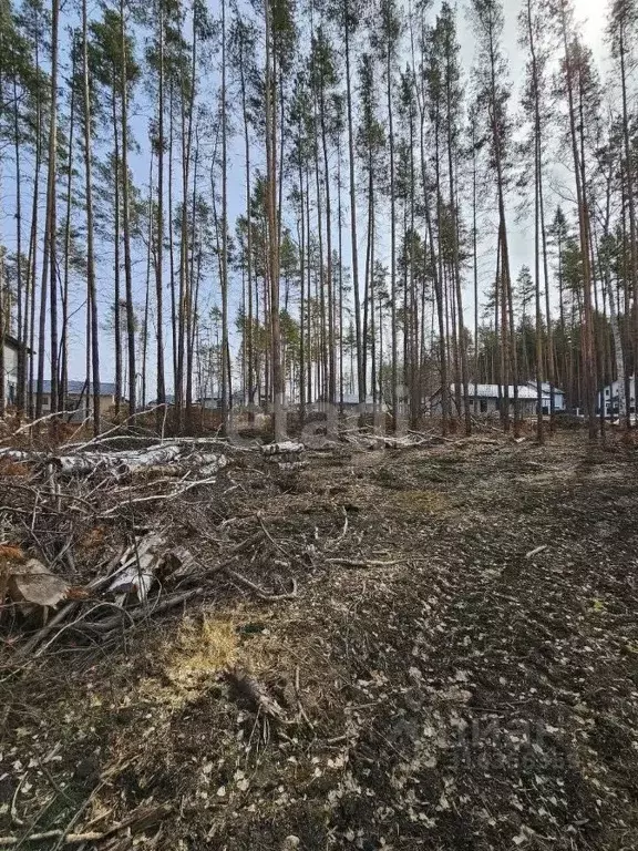 Участок в Свердловская область, Сысертский муниципальный округ, ... - Фото 1