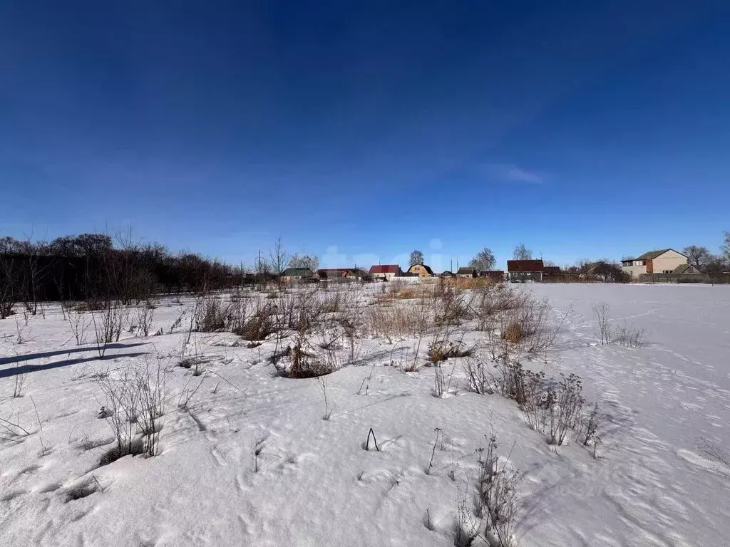 Участок в Курская область, Октябрьский район, Прямицыно муниципальное ... - Фото 1