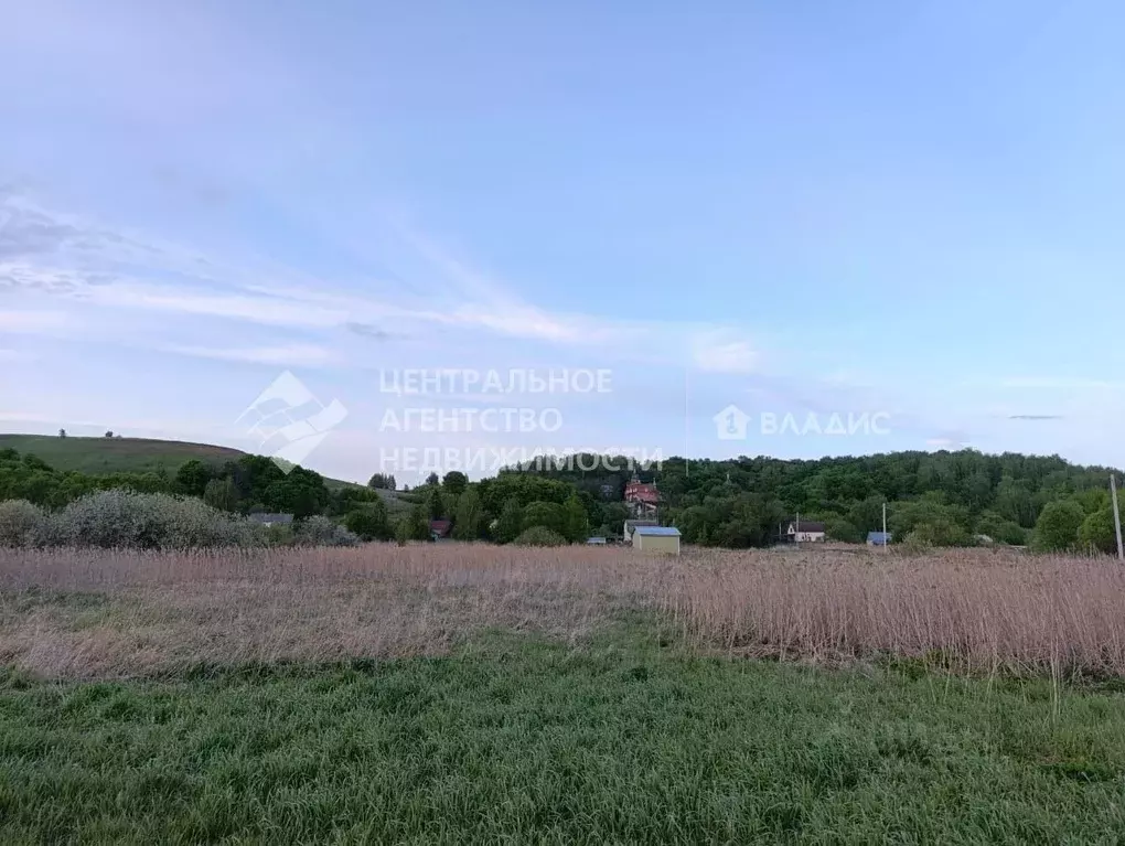 Участок в Рязанская область, Пронск рп ул. Заводская (50.0 сот.) - Фото 2