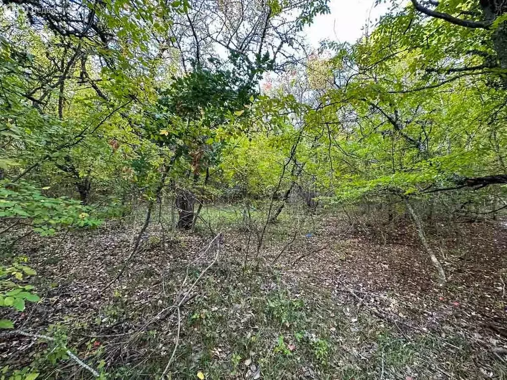 Участок в Республика Крым, муниципальный округ Алушта, село Изобильное ... - Фото 1