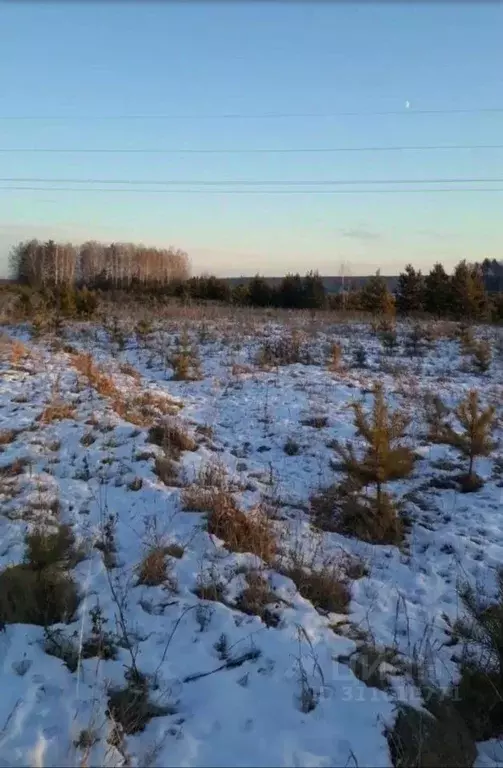 Участок в Свердловская область, Сысертский городской округ, с. ... - Фото 1