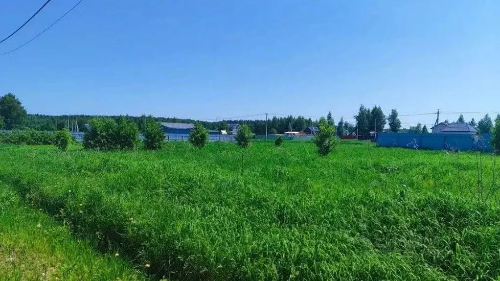 Участок в Московская область, Раменский муниципальный округ, д. ... - Фото 1