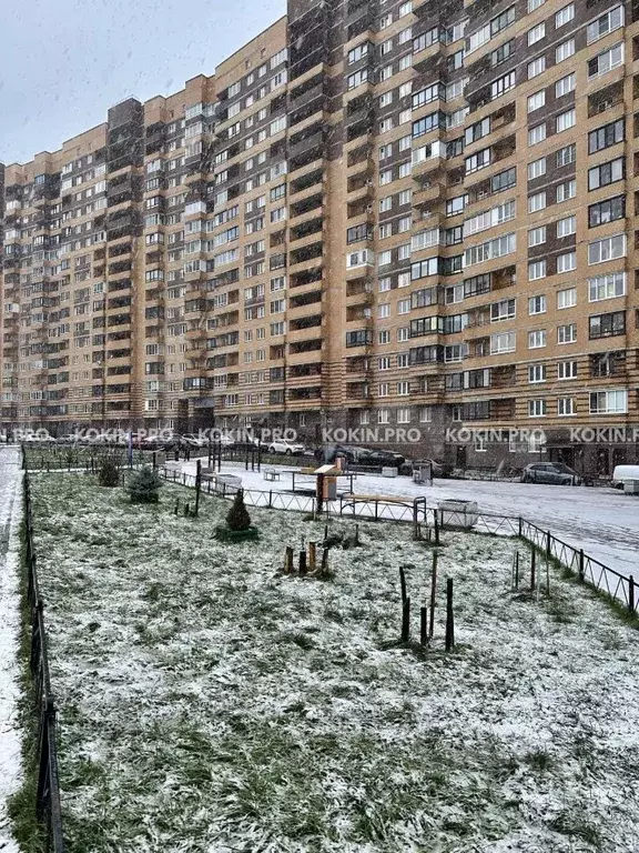 1-к кв. Ленинградская область, Мурино Всеволожский район, ул. Шоссе в ... - Фото 1
