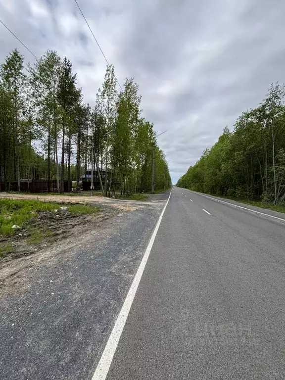 Участок в Архангельская область, Приморский муниципальный округ, пос. ... - Фото 1