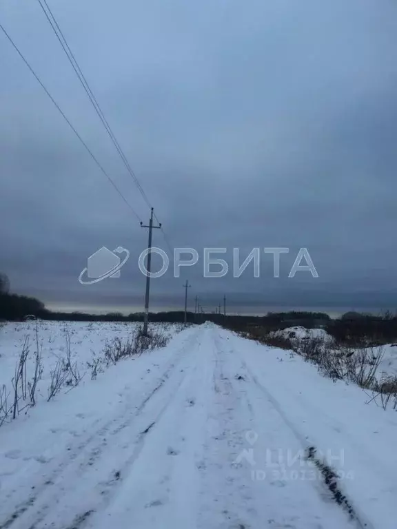 Участок в Тюменская область, Тюменский район, с. Горьковка Сибирская ... - Фото 0