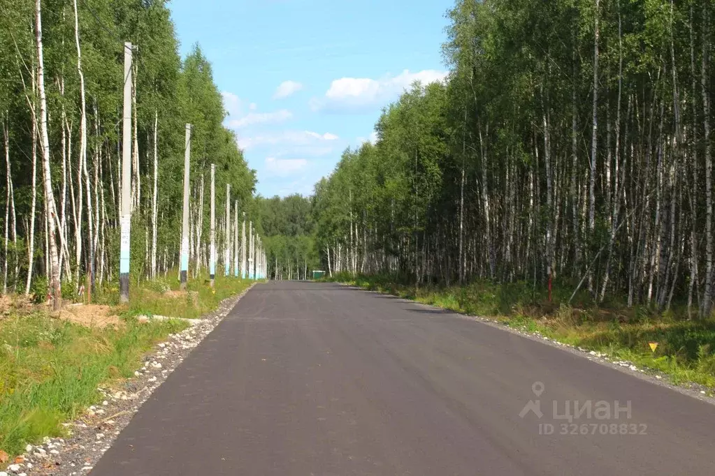 Участок в Московская область, Домодедово городской округ, д. Зиновкино ... - Фото 2