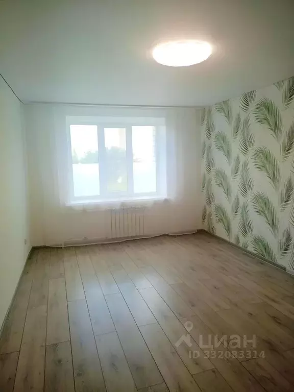 Комната Брянская область, Брянск ул. Костычева, 62 (19.5 м) - Фото 1
