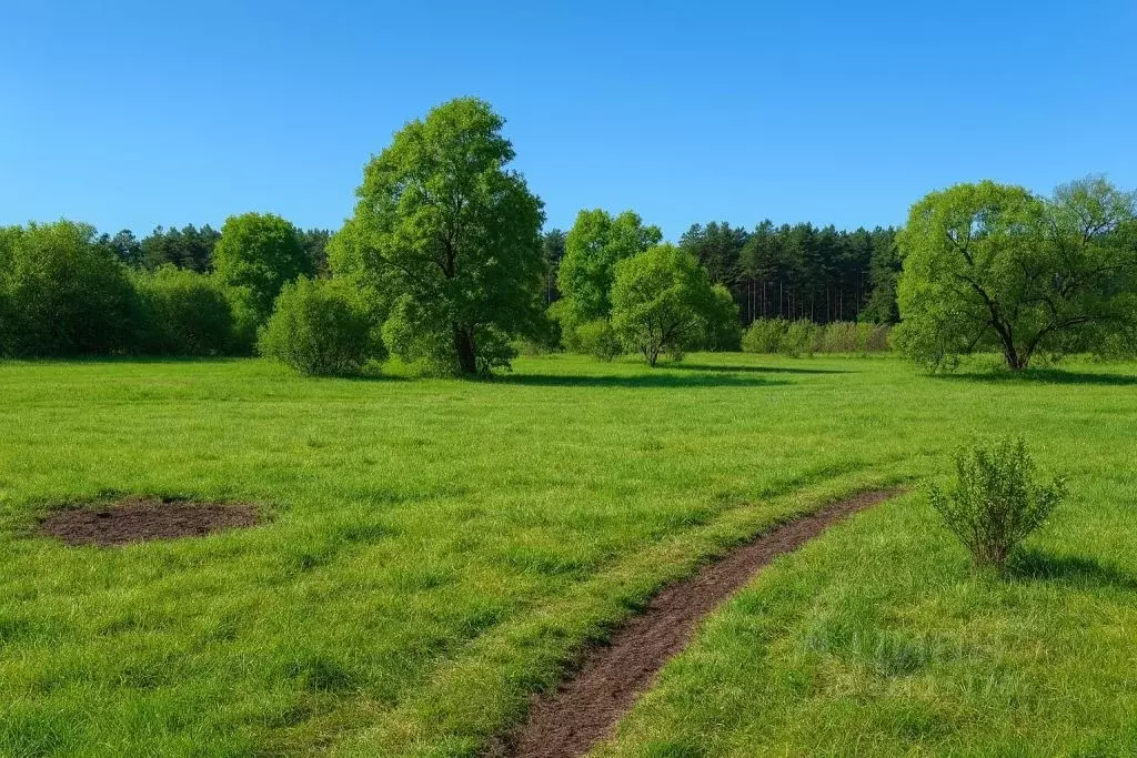 Участок в Московская область, Ступино ул. Туманная (10.0 сот.) - Фото 2