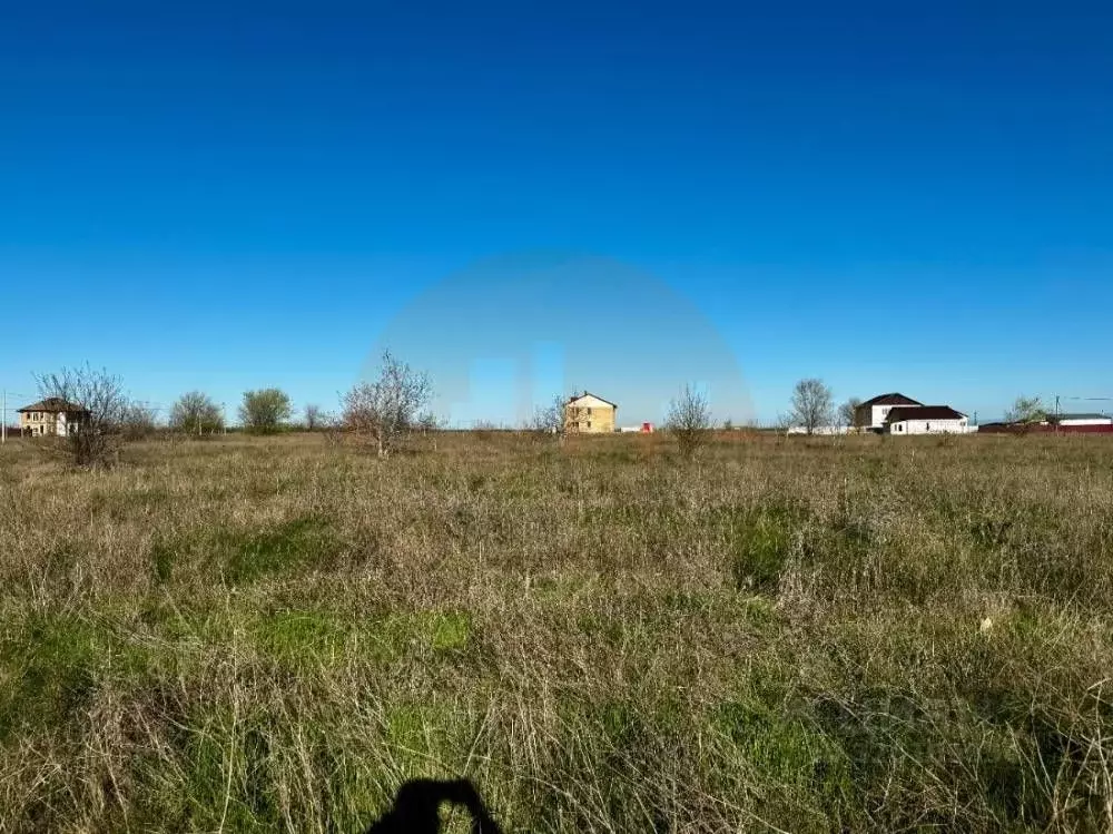 Участок в Крым, Сакский район, с. Фрунзе ул. Российская (10.0 сот.) - Фото 1