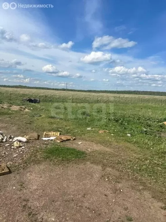 Участок в Тверская область, Старицкий муниципальный округ, деревня ... - Фото 1