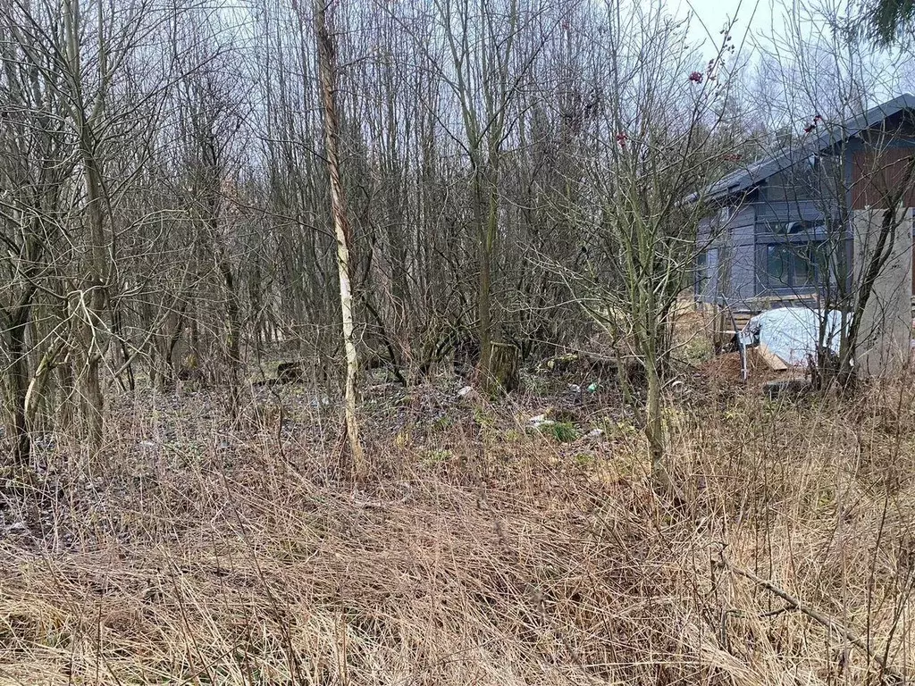 Участок, 13 сот., поселения (ижс) - Фото 2