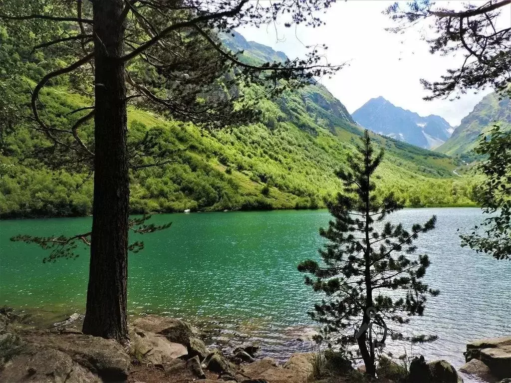 Дом в Карачаево-Черкесия, Теберда Карачаевский городской округ,  (90 ... - Фото 0