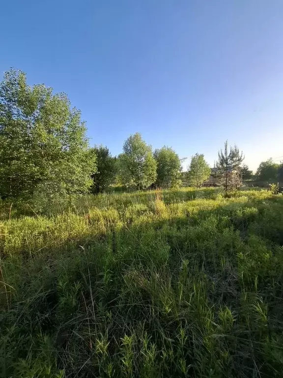 Участок 15,9 сот. (ИЖС) - Фото 0