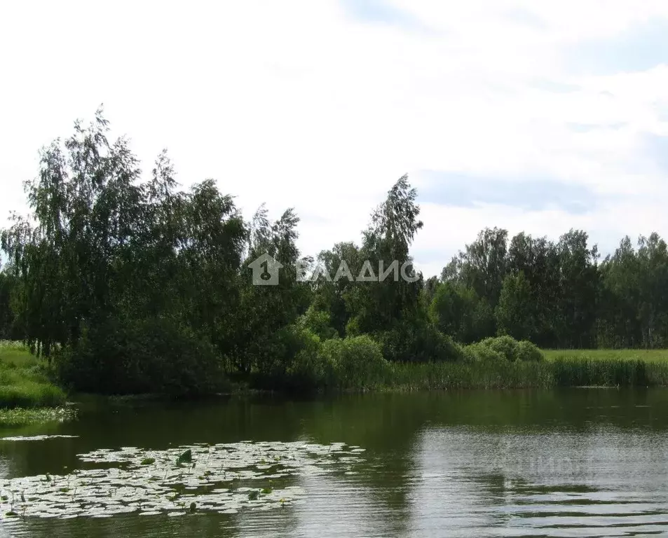 Участок в Нижегородская область, Сосновский муниципальный округ, д. ... - Фото 1