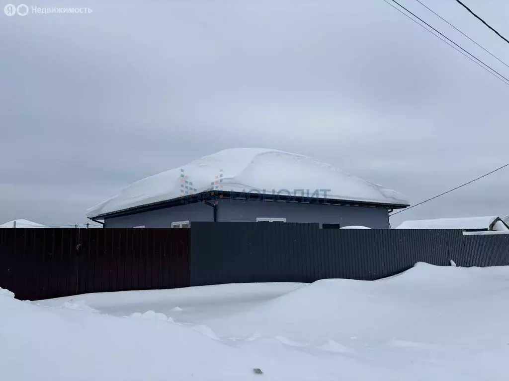Дом в Нижегородская область, Богородский муниципальный округ, село ... - Фото 1