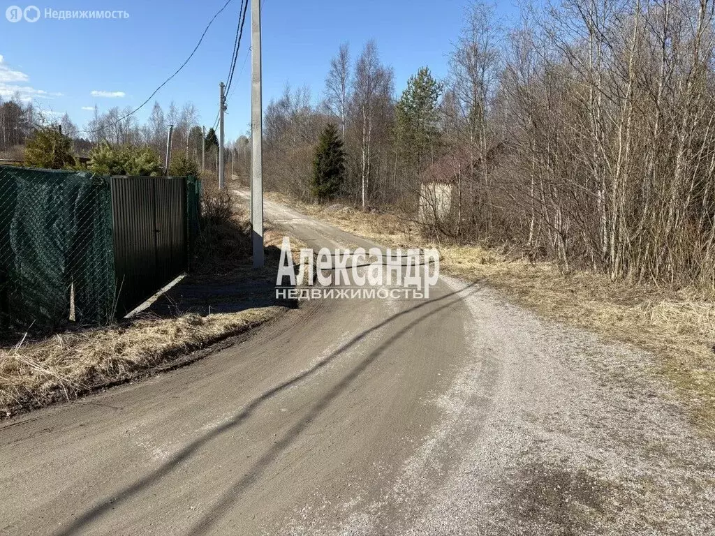 Участок в Приозерский район, Кузнечнинское городское поселение, СНТ ... - Фото 2