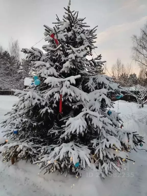 Дом в Псковская область, Невельский муниципальный округ, д. Опухлики  ... - Фото 2