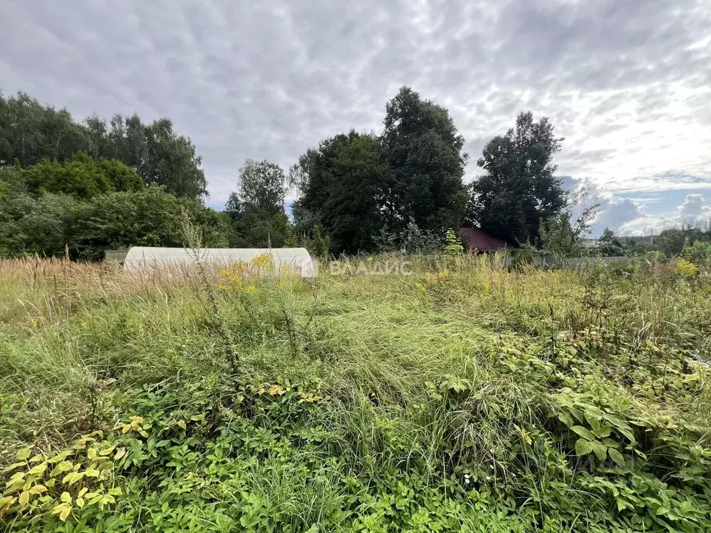Дом в Нижегородская область, Богородский муниципальный округ, д. ... - Фото 2