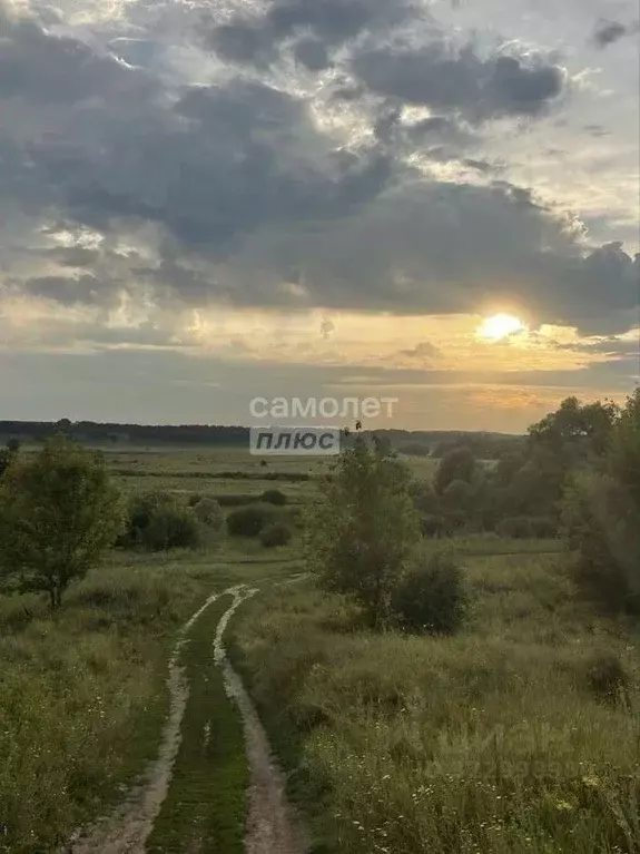Участок в Амурская область, Благовещенский район, с. Кантон-Коммуна ... - Фото 2