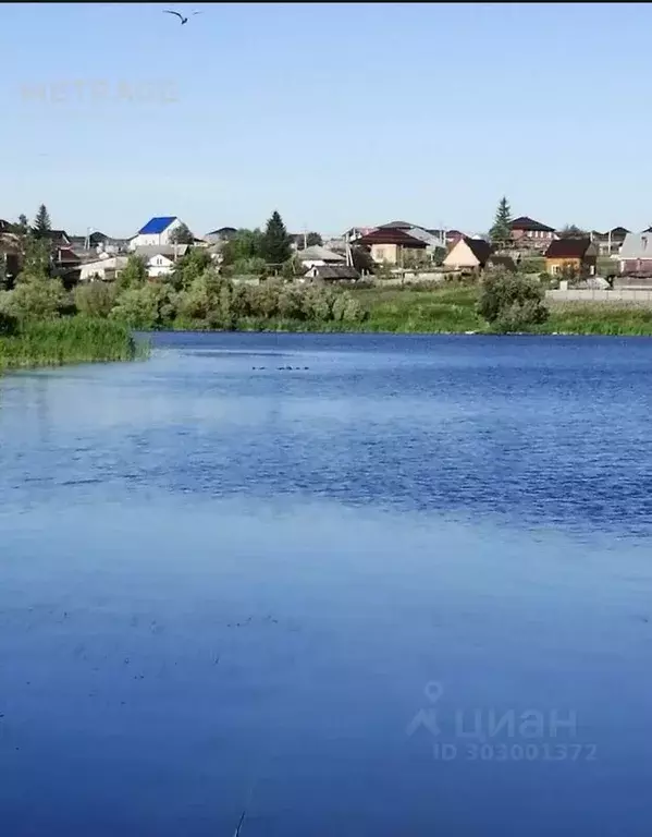 Участок в Новосибирская область, Новосибирский район, Каменский ... - Фото 1