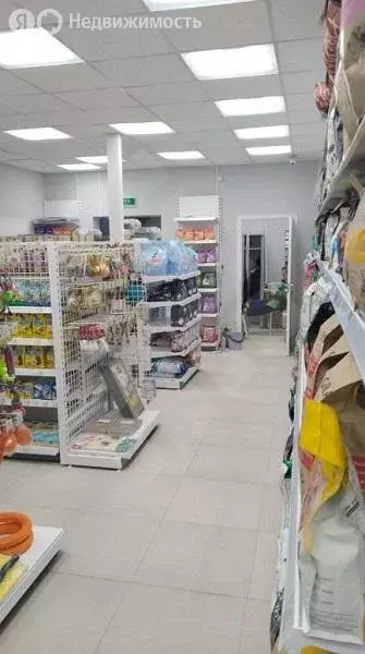 Помещение свободного назначения (90 м) - Фото 2