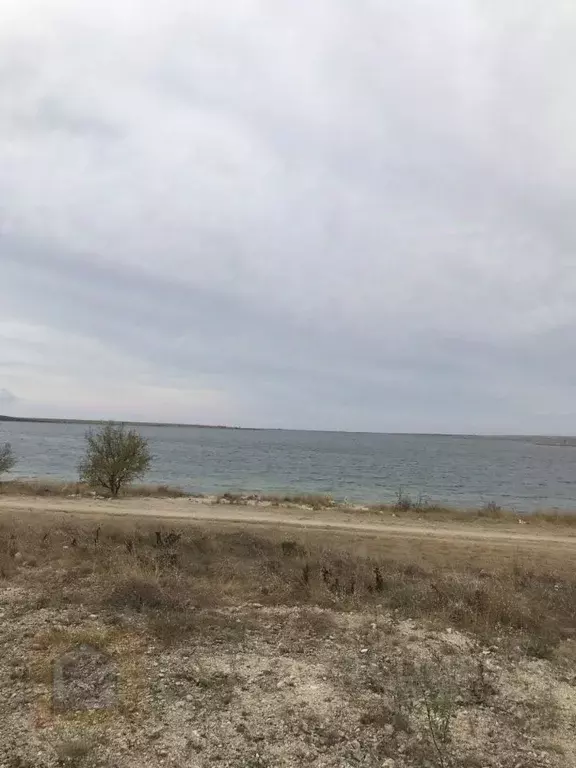 Участок в Крым, Евпатория городской округ, Новоозерное пгт пл. ... - Фото 0