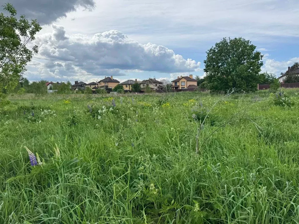 Участок в Московская область, Богородский городской округ, д. ... - Фото 0
