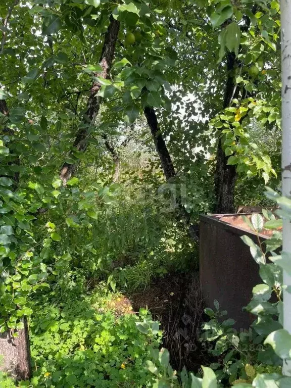 Участок в Челябинская область, Челябинск Трубопрокатчик-2 СНТ, ул. 3-я ... - Фото 1