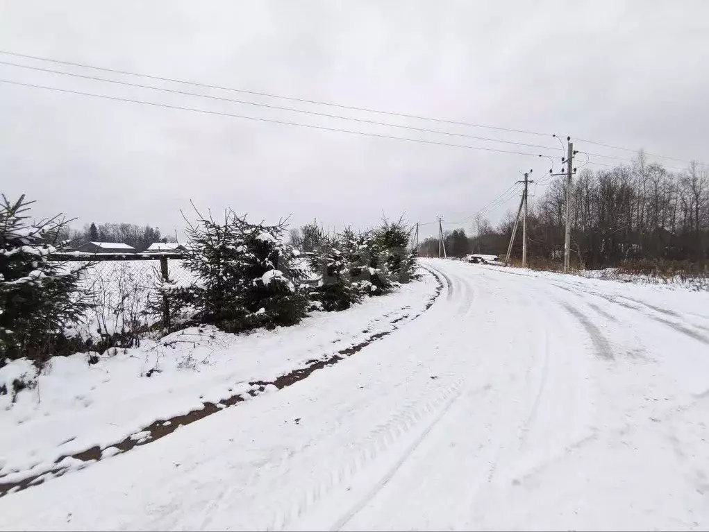 Участок в Ленинградская область, Волховский район, Колчановское с/пос, ... - Фото 1