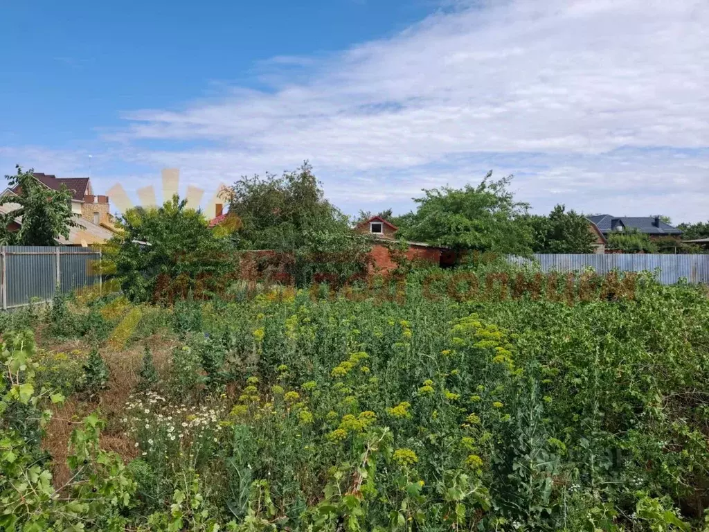 Участок в Краснодарский край, Ейский район, Александровское с/пос, с. ... - Фото 2