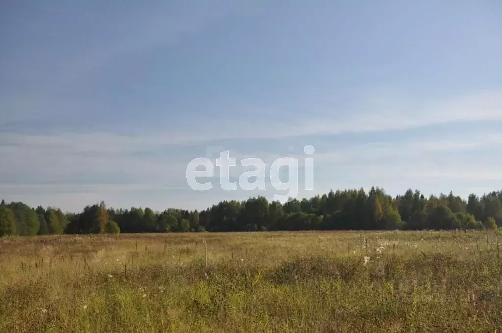 Участок в Вологодская область, Грязовецкий муниципальный округ, ... - Фото 2