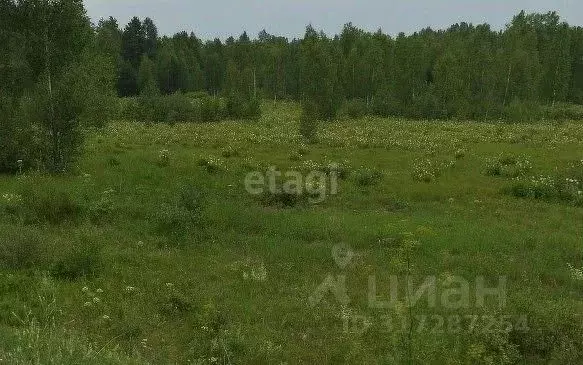 Участок в Свердловская область, Екатеринбург Северка-1 садоводческий ... - Фото 0