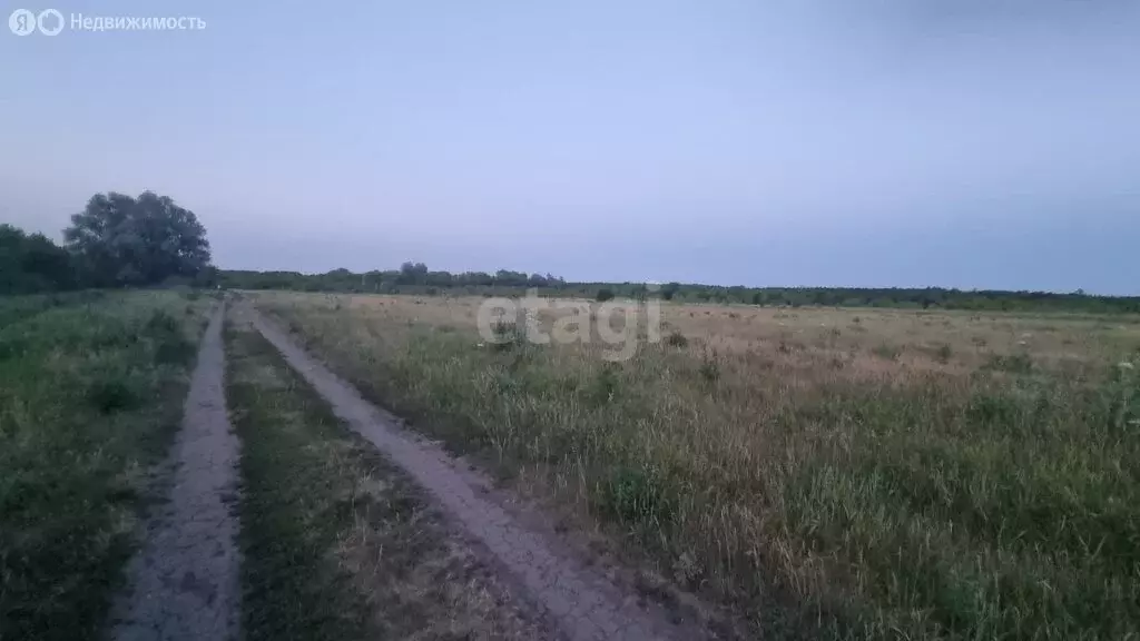 Участок в Хохольский район, село Борщёво (981.5 м) - Фото 0