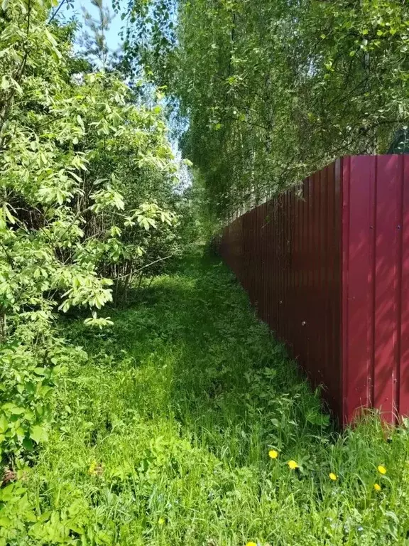 Участок в Московская область, Раменский муниципальный округ, д. ... - Фото 2