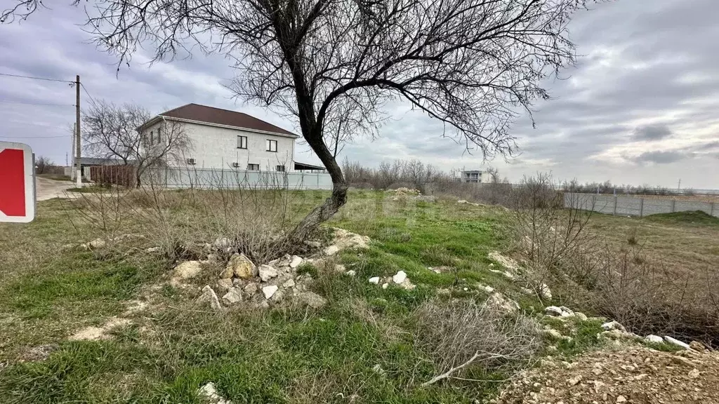 Участок в Крым, Черноморский район, с. Межводное ш. Черноморское (8.23 ... - Фото 1