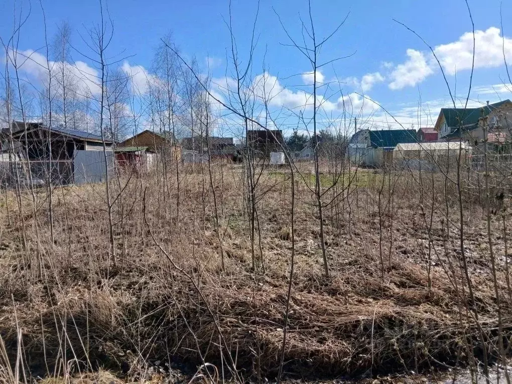 Участок в Санкт-Петербург, Санкт-Петербург, Пушкин Заозерное СНТ, 2-я ... - Фото 2