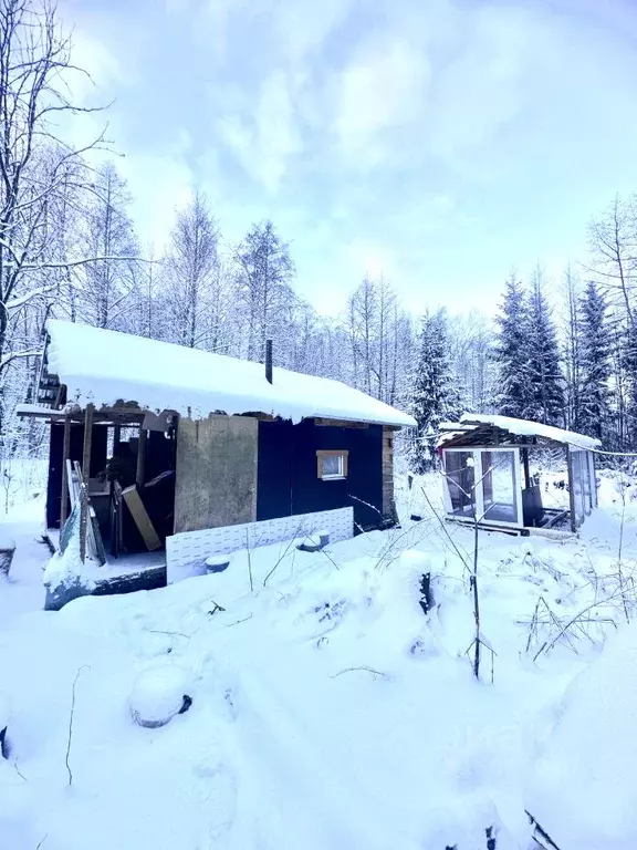 Участок в Ленинградская область, Волховский район, Кисельнинское ... - Фото 0
