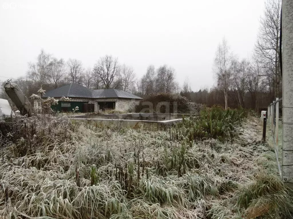 Участок в Калининградская область, Багратионовский муниципальный ... - Фото 2