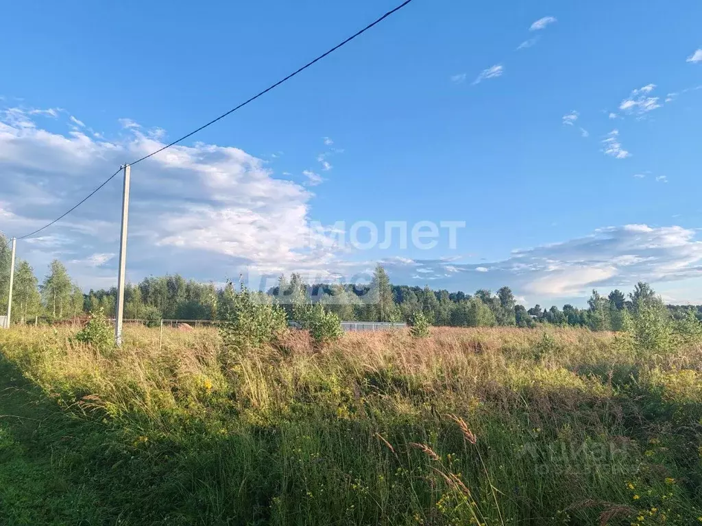 Участок в Владимирская область, Карабаново г. Александровский ... - Фото 1