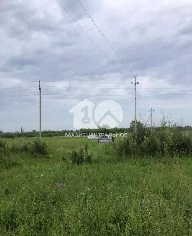 Участок в Новосибирская область, Колыванский район, Пять озер СНТ ... - Фото 0
