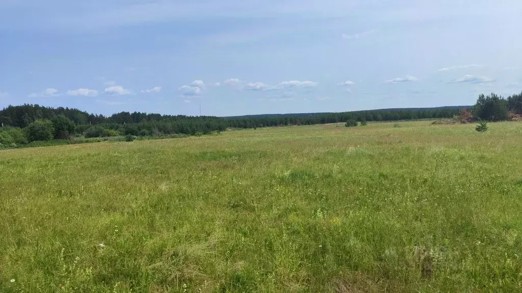 Участок в Свердловская область, Березовский городской округ, пос. ... - Фото 1