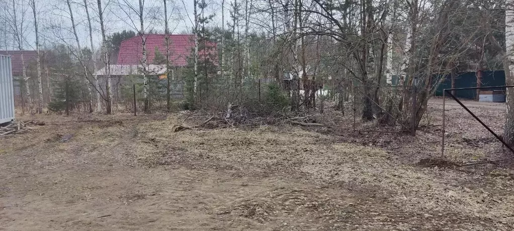 Участок в Московская область, Клин городской округ, с. Борщево  (6.0 ... - Фото 1