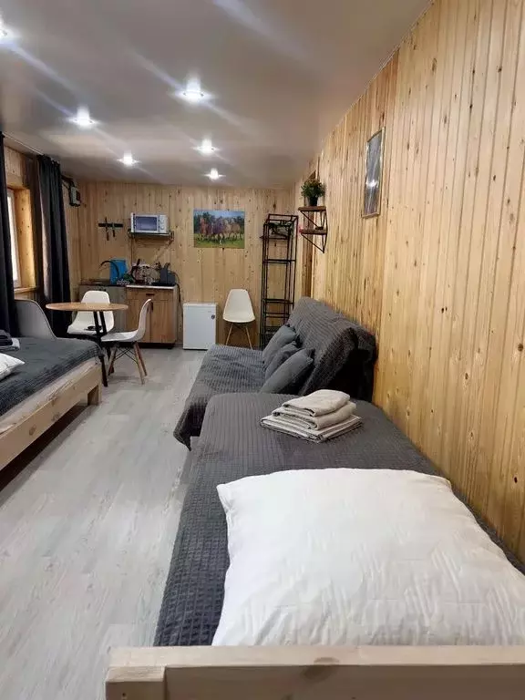 Комната Бурятия, Тункинский район, пос. Аршан Набережная ул., 19А - Фото 1