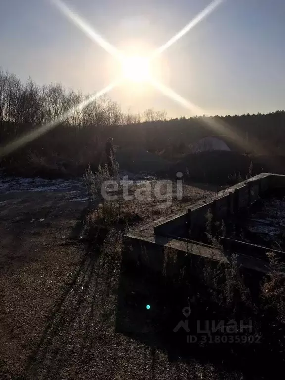 Участок в Амурская область, Благовещенск городской округ, пос. ... - Фото 0